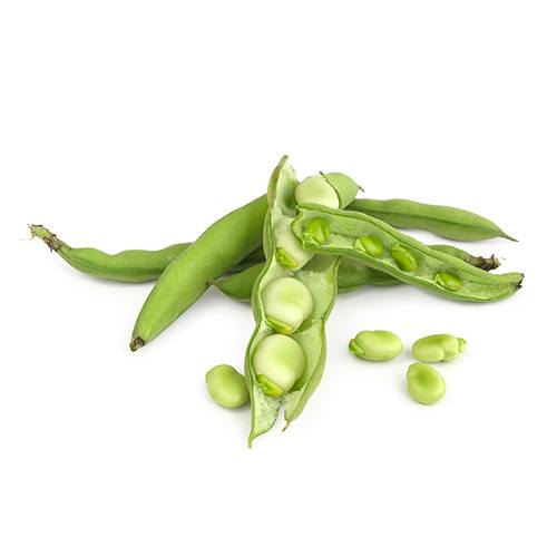 favabeans