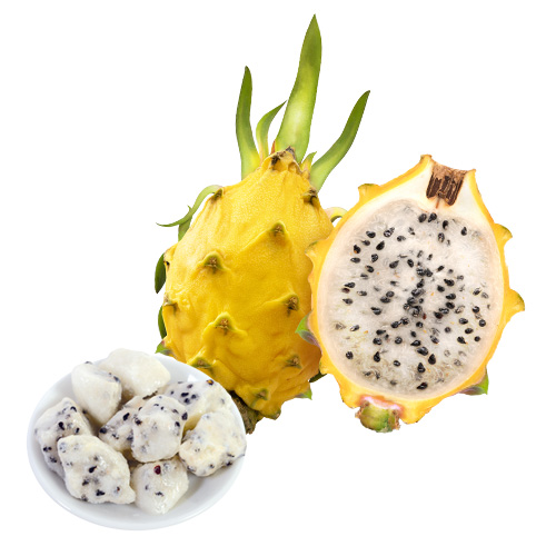 トロピカルマリア イエローピタヤ - 株式会社アスク株式会社アスク  